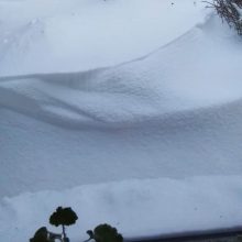 Kai kur Lietuvoje sniego danga – beveik 40 centimetrų 