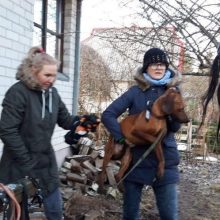 Iš žiaurių sąlygų šunis vadavusi specialistė: reikės bent savaitės, kad atsigaučiau