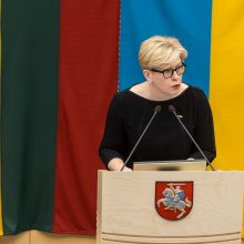 Seime premjerė pristatė praėjusių metų Vyriausybės veiklos ataskaitą