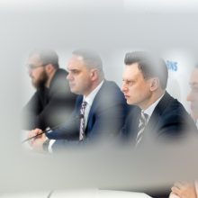 S. Skvernelis: rinkimų rezultatai – geri, bet galėjo būti ir geresni