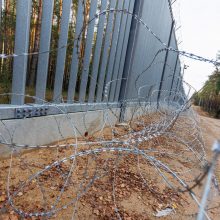 Pasienyje su Baltarusija apgręžti du neteisėti migrantai