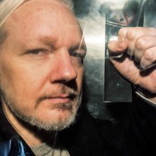 Londone kalintį „WikiLeaks“ įkūrėją aplankiusi P. Anderson: jo gyvybei gresia pavojus