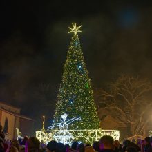 Birštone sužibo Kalėdų eglė ir apžvalgos bokšto viršūnė