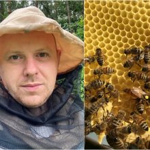 Bitininkas M. Kašelionis: bites reikia suprasti