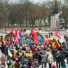 Keli šimtai žmonių žygiavo tautininkų eitynėse: reikalavo apriboti KT galias 