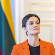 V. Čmilytė-Nielsen: ieškant šaltinių gynybos finansavimui nereikia kartoti konservatorių klaidų