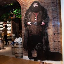 Niujorke atidaryta didžiulė parduotuvė Hario Poterio gerbėjams