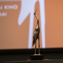 Kino kūrėjams bus išdalytos „Sidabrinės gervės“