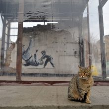 Nuo karo Ukrainoje nukentėjusiems gyvūnams lietuviai paaukojo per 400 tūkst. eurų
