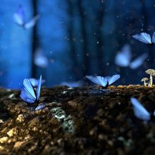 Dienos horoskopas 12 Zodiako ženklų (rugsėjo 28 d.)