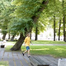 Grėsmė: K.Donelaičio skvere augančios liepos audros metu gali nuvirsti ant žmonių galvų, tačiau klausimai apie medžių būklę itin siutina valdininkus.