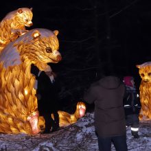 „1000 šviesų“ festivalis Rumšiškėse: Pakruojo nepasiveja, bet publika veržiasi
