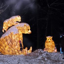 „1000 šviesų“ festivalis Rumšiškėse: Pakruojo nepasiveja, bet publika veržiasi