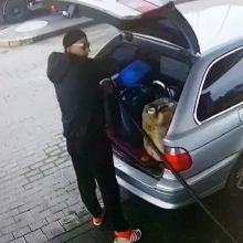 Klaipėdoje vėl siaučia degalų vagys