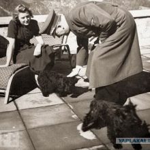 Hitleris su E.Braun ir jos foksterjerais, kuriuos kartais vadindavo grindų pašluostėmis.