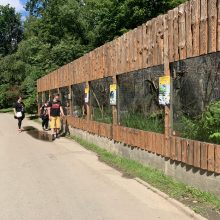 Lietuvos zoologijos sodas atšventė gimtadienį: šis sezonas pateks į istoriją