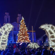 Daugiatūkstantinei miniai užplūdus Rotušės aikštę ir Senamiestį neapsieita be incidentų