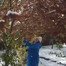Žinomi žmonės džiaugėsi sniegu: P. Kazlauskas pusnuogis grojo po medžiu