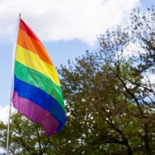 Prie Seimo LGBTQ atstovai protestuos prieš turinio cenzūrą, tėvai – dėl gyvenimo įgūdžių programos