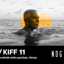 Nacionalinėje dailės galerijoje – nemokama Kauno kino festivalio programa