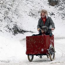 „Mažas didelis stebuklas“ sušildys visų Kalėdas