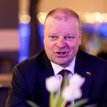 S. Skvernelis siūlyme kreiptis į KT dėl Stambulo konvencijos sako įžvelgiantis klastą