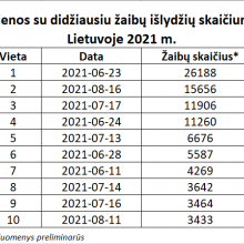 Lietuvoje pernai iš viso užfiksuota apie 123 tūkst. žaibų išlydžių