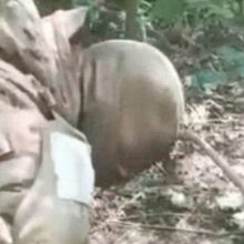 Ukraina atlieka tyrimą dėl žiaurios kario egzekucijos: siekia nustatyti ne tik žudiko tapatybę