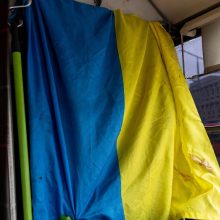 Už Ukrainos vėliavos išniekinimą dviem vengrams siūloma skirti baudas