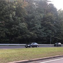 Laisvės prospekte ant automobilių užvirto medis: sutrikęs eismas, yra nukentėjusių