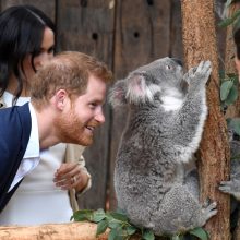 Australijoje viešintys princas Harry ir besilaukianti Meghan atsidūrė dėmesio centre