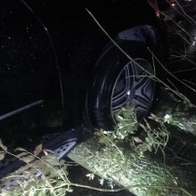 Per plauką nuo tragedijos: Marijampolėje automobilis pakibo ant nuvirtusio medžio