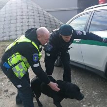 Pagirtina: policijos pareigūnai mokymų metu išgelbėjo nusilpusį šunį