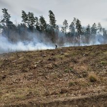 Ugniagesiai ir miškininkai savaitgalį gesino tris didelius miškų ir pievų gaisrus