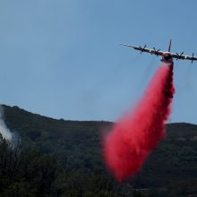 Amerikoje ir toliau siaučia miškų gaisrai, žuvo vienas žmogus