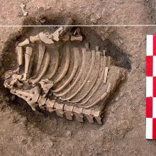 Peru rasta 3 tūkst. metų senumo kapavietė 