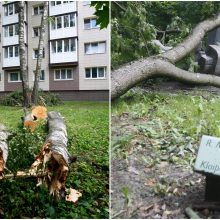 Po galingos audros Klaipėdoje kuoptis teks porą savaičių