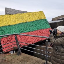 Bangolaužį Šiauriniame mole papuošė trispalve