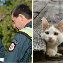 Kuriozinė situacija su katinu: pareigūnai nuramino senjorės nerimą dėl anūkių saugumo