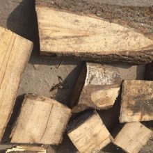 Įžūli afera: pasipelnyti sukčiaujant sumanę lietuviai į Aziją siuntė nekokybišką medieną