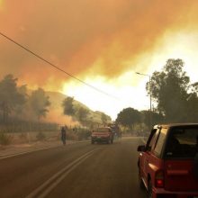 Graikų ugniagesiai kovoja su miško gaisru