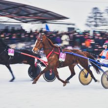 Vienas iš „Sartų“ lenktynių organizatorių: žinočiau nugalėtoją – galėčiau ir nedirbti