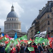 Paryžiuje protestuota prieš pagalbinio apvaisinimo galimybę vienišoms moterims