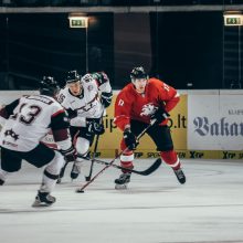 Vilniaus „7bet – Hockey Punks“ sezoną sostinėje pradės Kontinentinės taurės kovomis