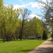 Pašilių stumbryne – pažintis su stambiausiais laukiniais gyvūnais