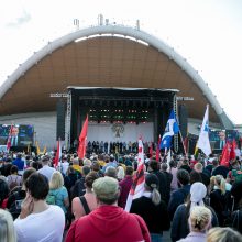 Aiškinamasi, kas sukūrė melagieną apie kariuomenės dalyvavimą „Šeimų marše“