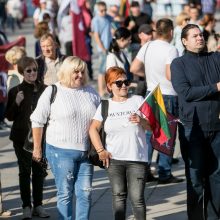 Opozicija įvertino per mitingą sustiprintą Seimo apsaugą: iki ko turėjome nusiristi