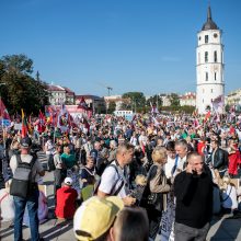 Opozicija įvertino per mitingą sustiprintą Seimo apsaugą: iki ko turėjome nusiristi