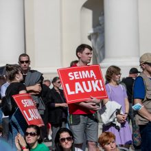 Opozicija įvertino per mitingą sustiprintą Seimo apsaugą: iki ko turėjome nusiristi