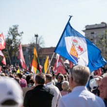 Vilniaus policija ragina Šeimų sąjūdžio mitingą baigti suderintu laiku